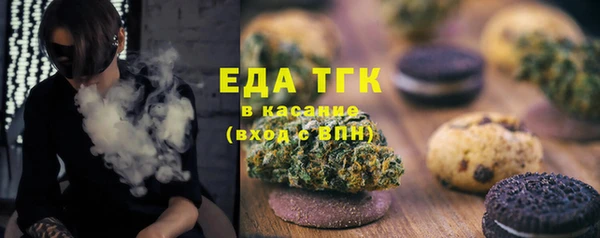 шишки Лабытнанги
