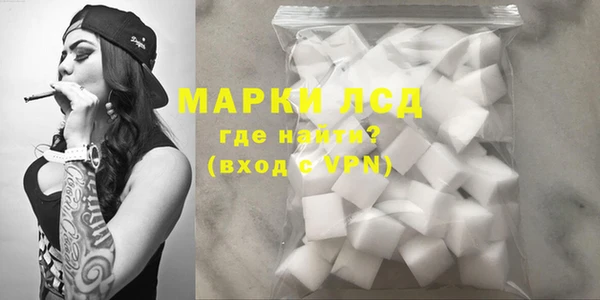 шишки Лабытнанги