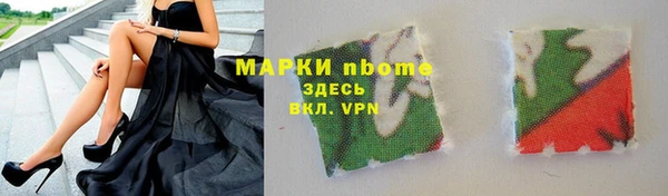 шишки Лабытнанги