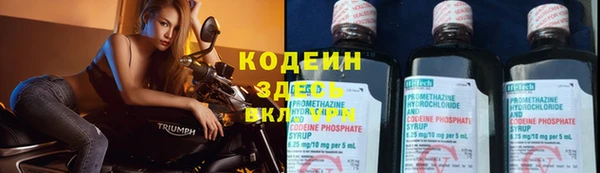 шишки Лабытнанги