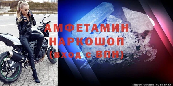 шишки Лабытнанги