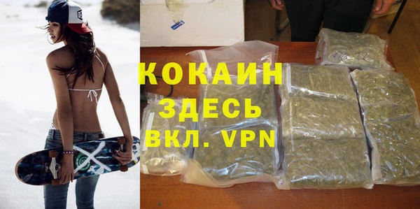 шишки Лабытнанги