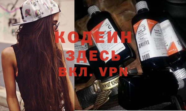 шишки Лабытнанги