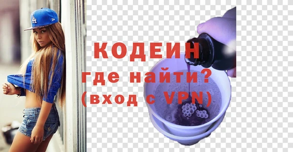 шишки Лабытнанги